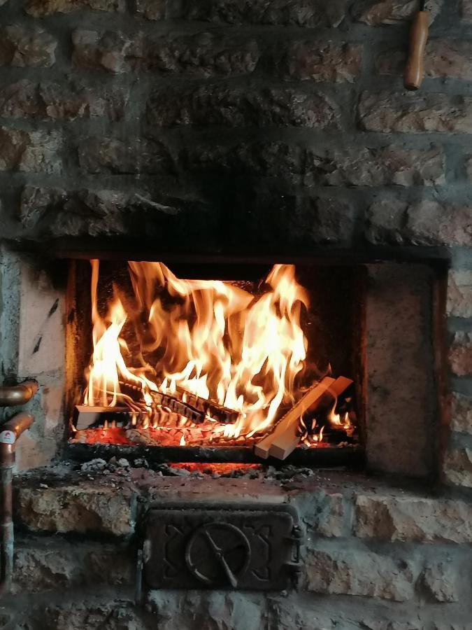 Salas Farma 47-Miris Dunja Csenej Kültér fotó
