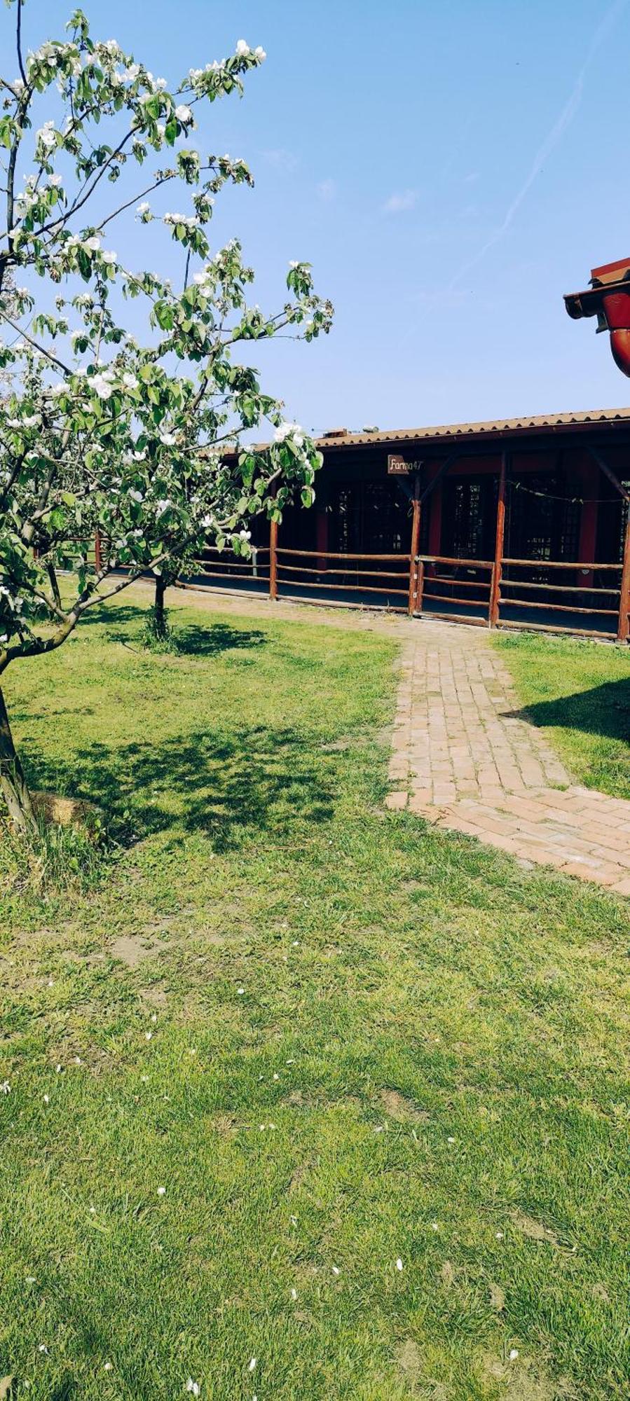 Salas Farma 47-Miris Dunja Csenej Kültér fotó