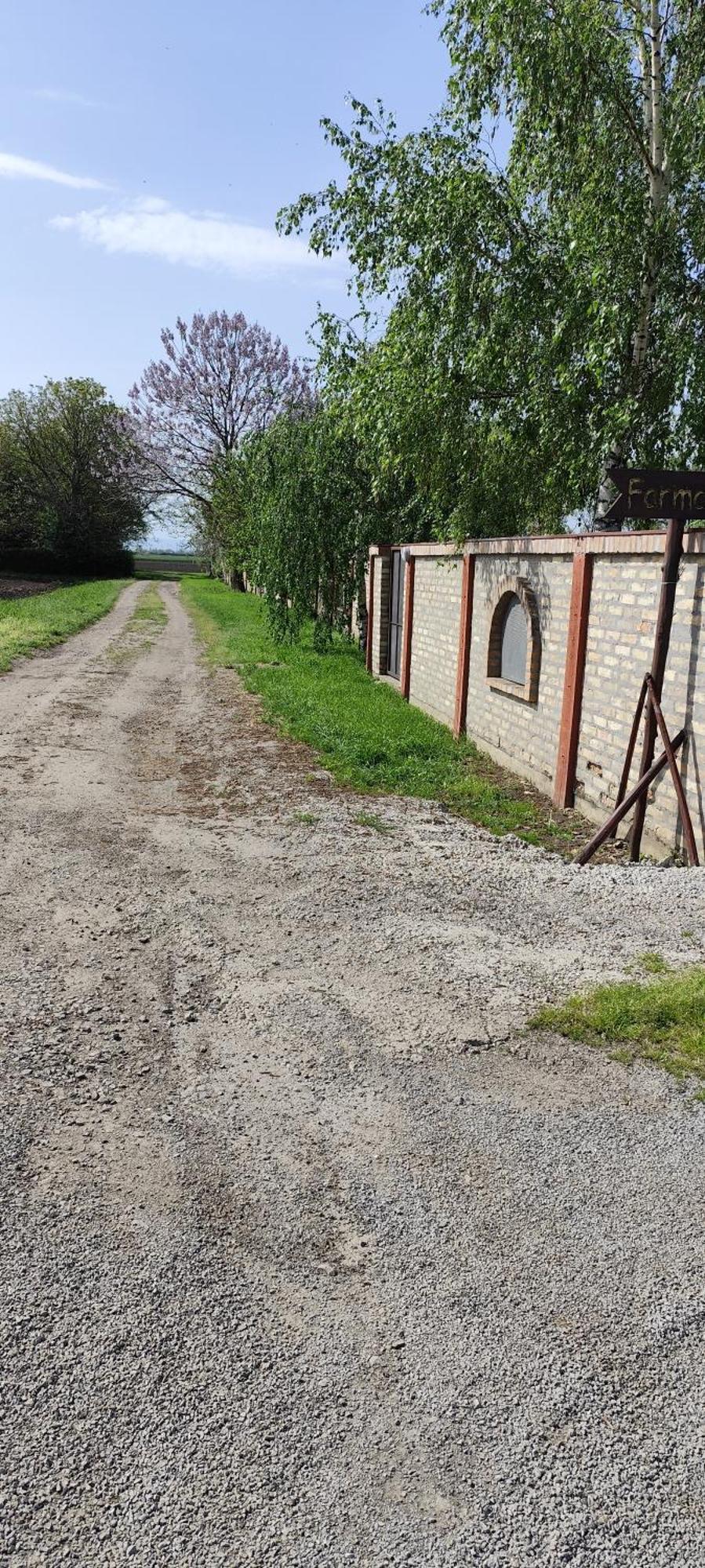 Salas Farma 47-Miris Dunja Csenej Kültér fotó