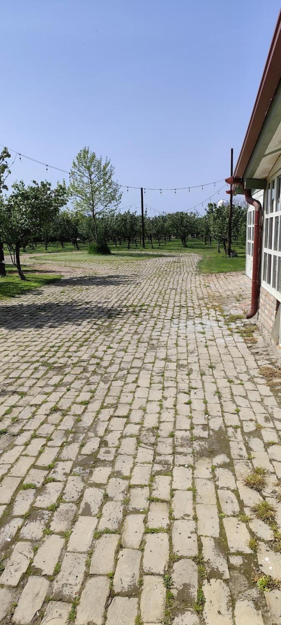 Salas Farma 47-Miris Dunja Csenej Kültér fotó