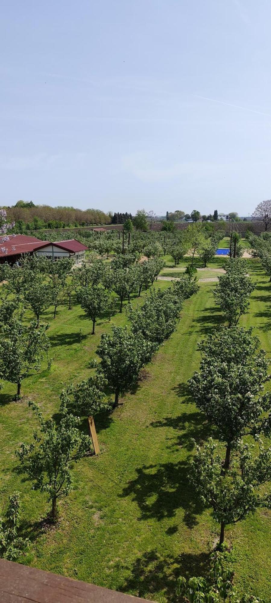 Salas Farma 47-Miris Dunja Csenej Kültér fotó