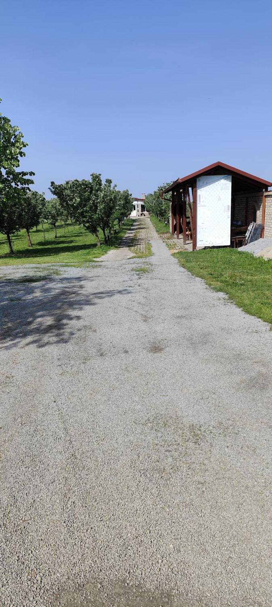 Salas Farma 47-Miris Dunja Csenej Kültér fotó
