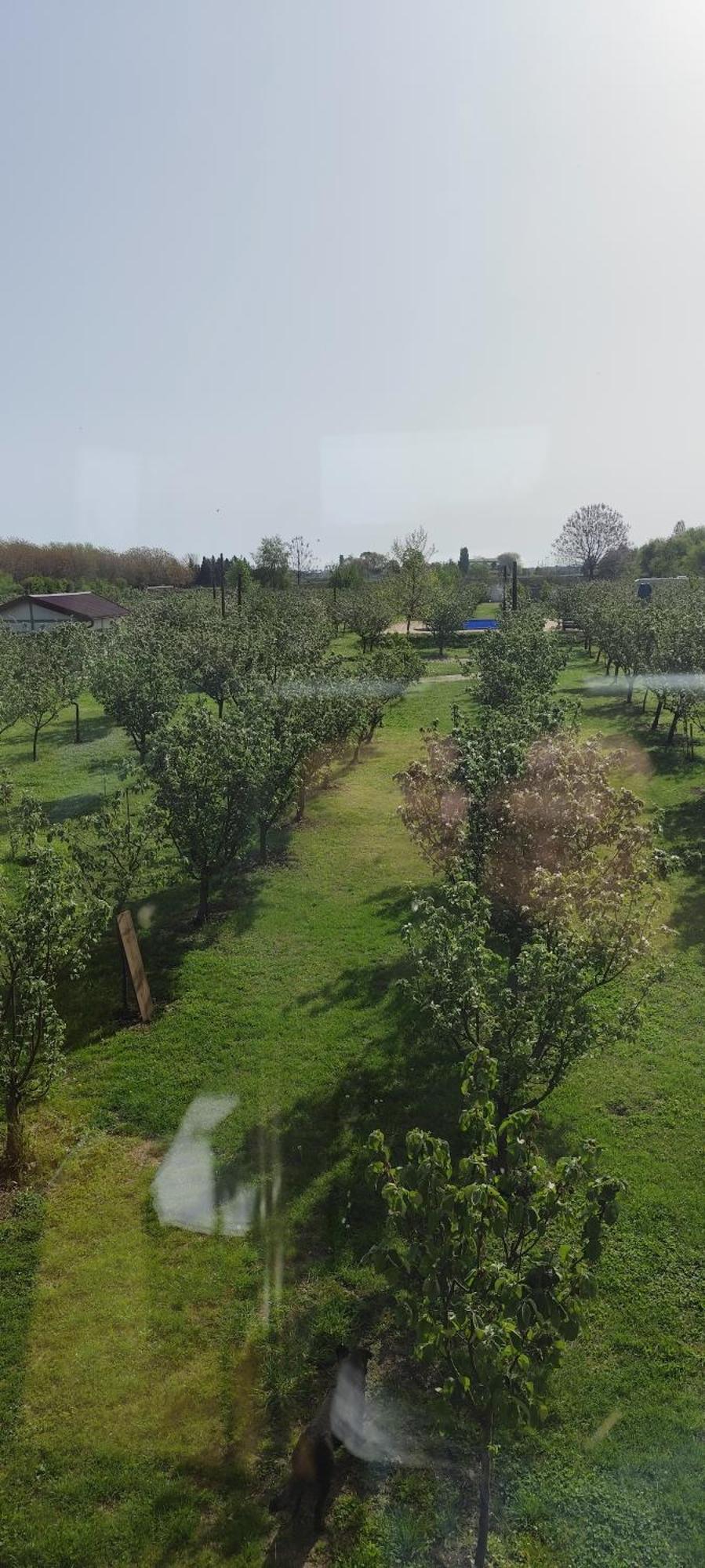 Salas Farma 47-Miris Dunja Csenej Kültér fotó
