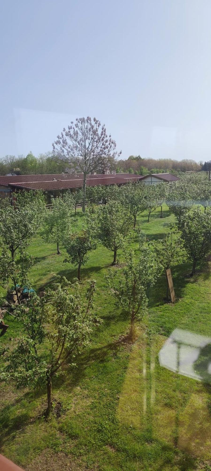 Salas Farma 47-Miris Dunja Csenej Kültér fotó